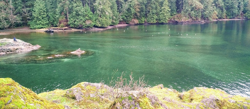 McKenzie Bight Trailhead | 54-98 Ross Durrance Rd, Victoria, BC V9E 2A3, Canada