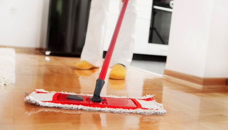 Youve Got Maid | 20147 Wanstead St, Maple Ridge, BC V2X 0T2, Canada | Phone: (604) 992-6243
