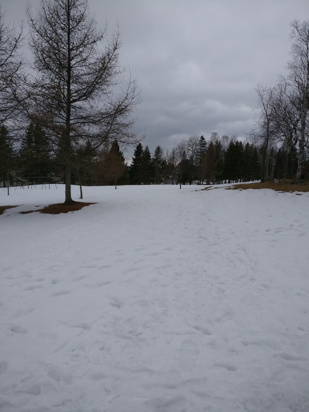 Parc de lÉrablière | 87e Rue, Saint-Georges, QC G6A 1M1, Canada | Phone: (418) 228-5555