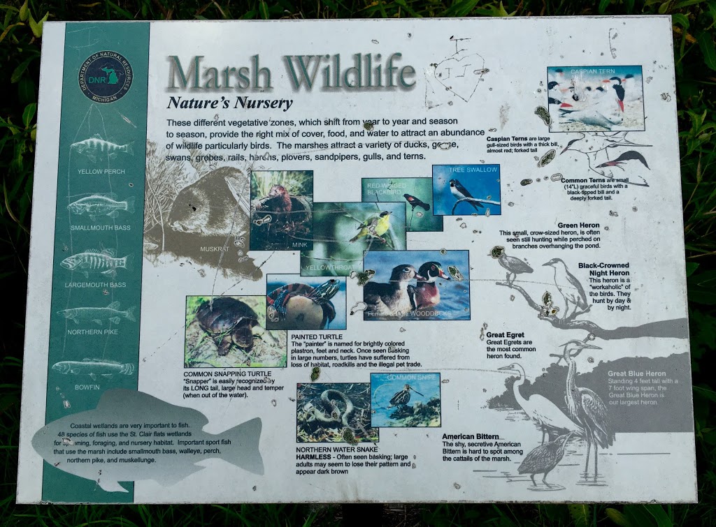 St. Johns Marsh Wildlife Area | Clay Township, MI 48001, USA