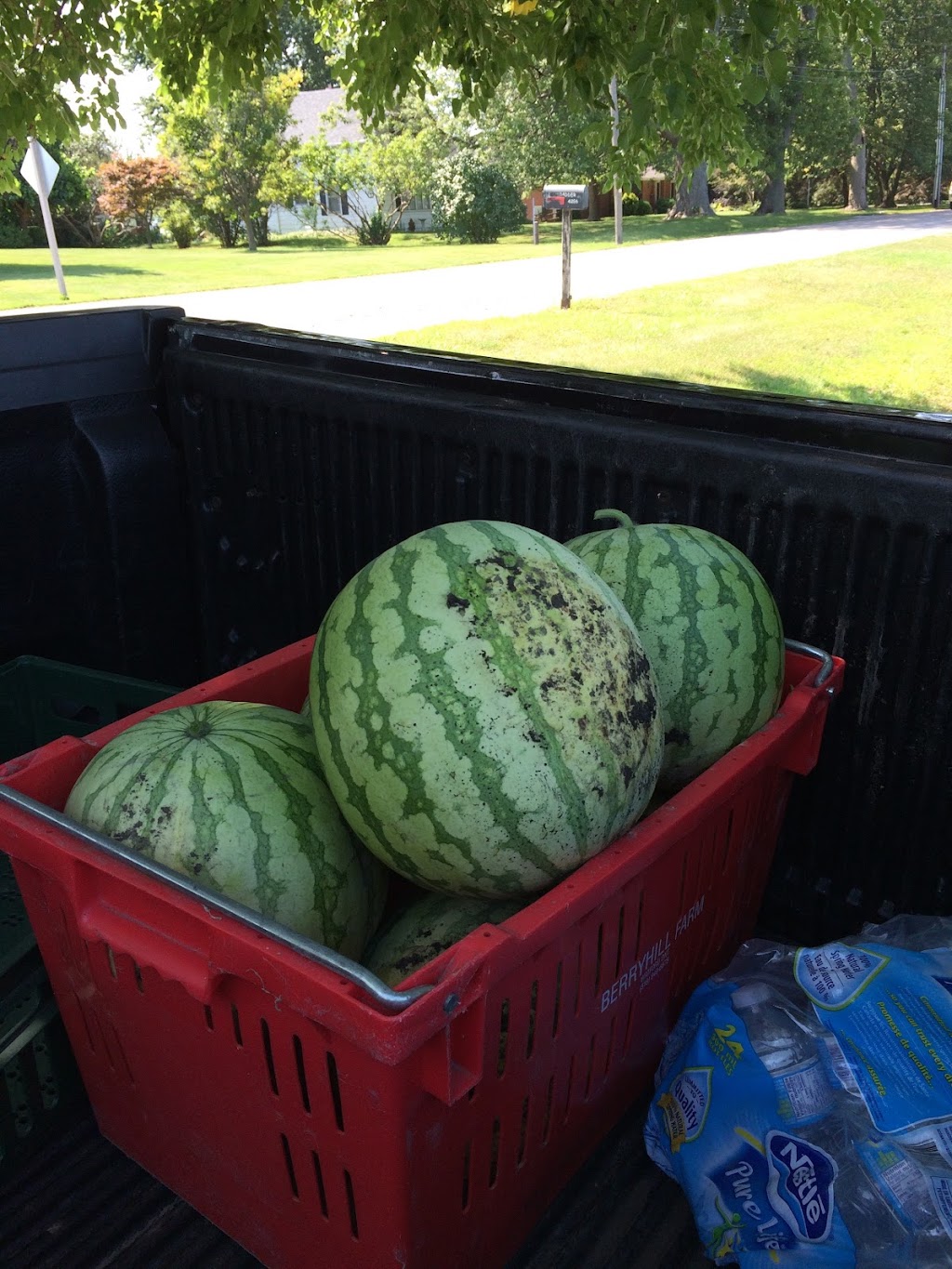 FarmerDell.ca | 4279 Tecumseh Line, Tilbury, ON N0P 2L0, Canada | Phone: (519) 436-1925
