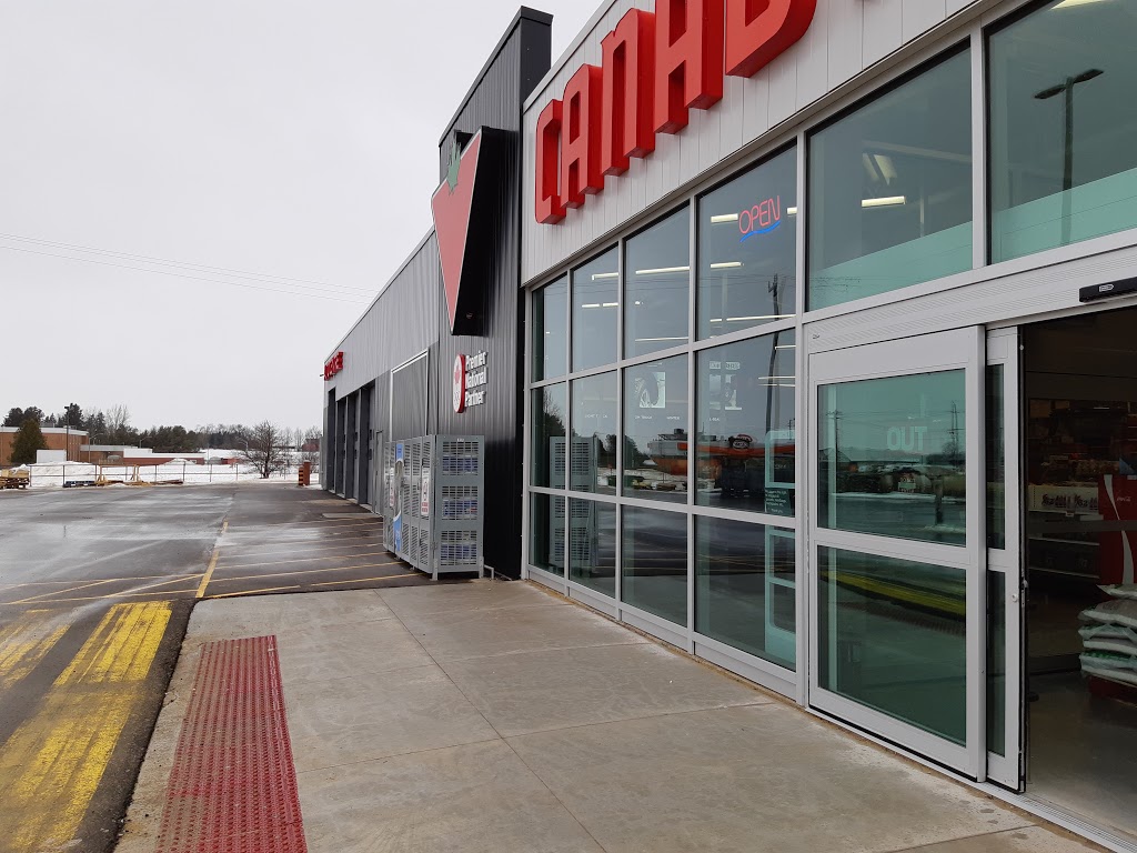 Canadian Tire | 101 Mt Forest Dr, Mount Forest, ON N0G 2L0, Canada | Phone: (519) 323-1080