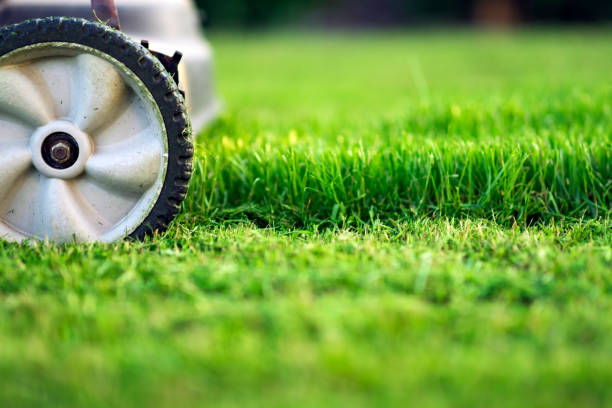 Landscaping Lindsay Property Services | 263 Victoria Ave N, Lindsay, ON K9V 6B8, Canada | Phone: (705) 934-5263