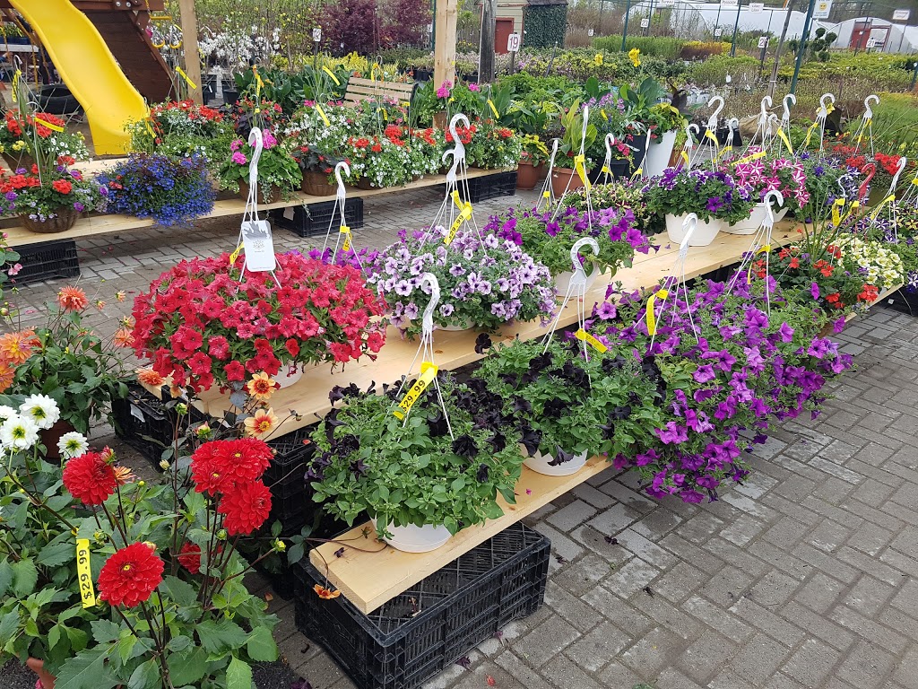 J.A. Laporte Flowers & Nursery | 455 Famille-Laporte Ave, Orléans, ON K4A 0Y7, Canada | Phone: (613) 833-2316