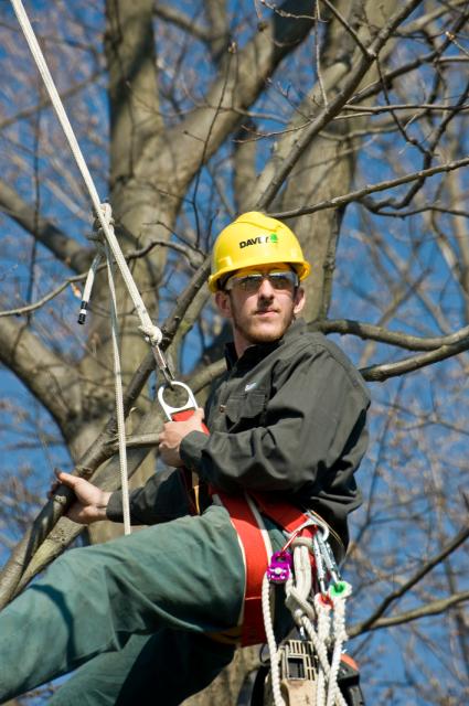 Davey Tree Expert Co. of Canada, Limited | 1354 Chippawa Creek Rd, Port Robinson, ON L0S 1K0, Canada | Phone: (905) 684-2087
