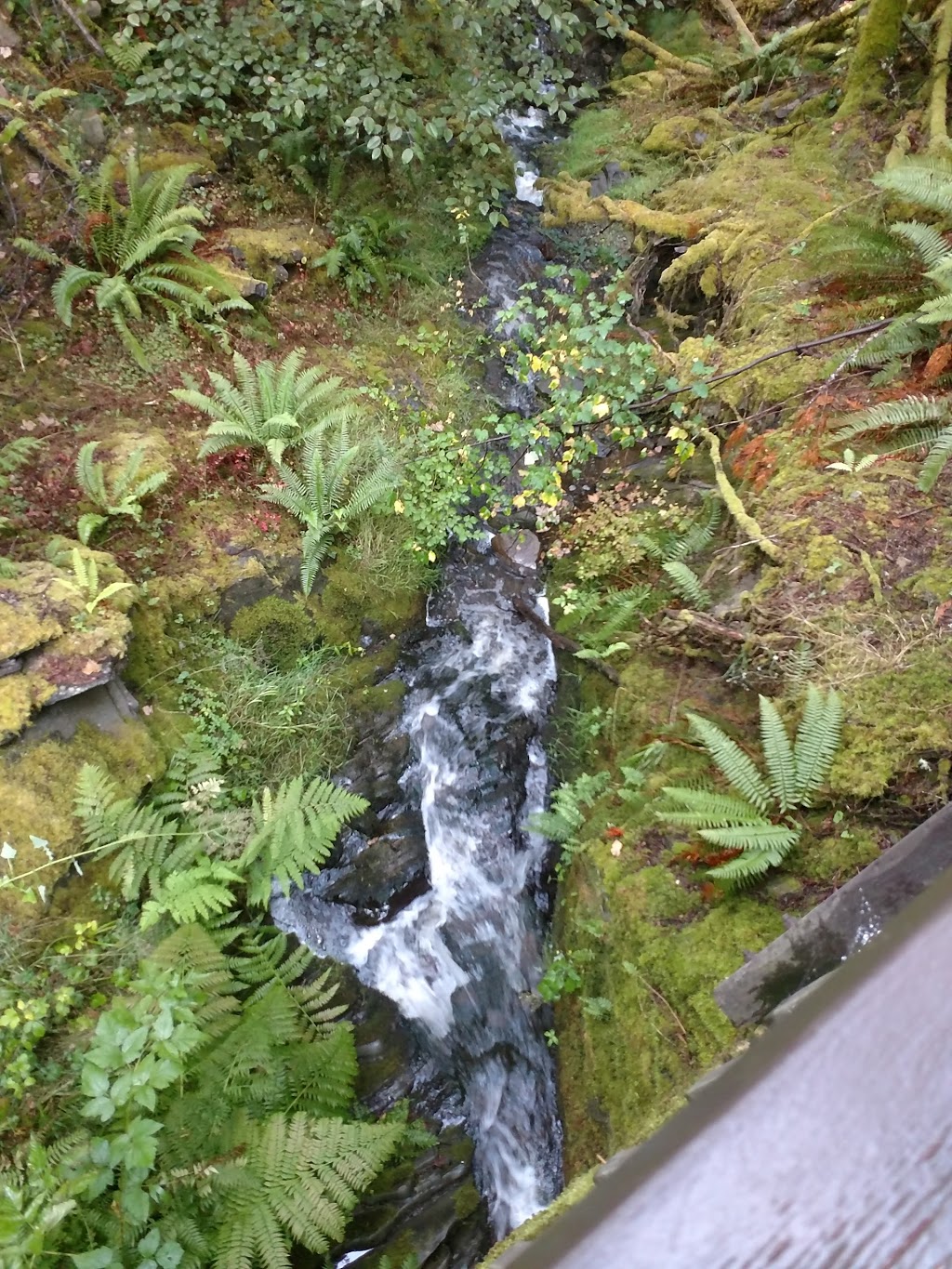 Manley Creek Park | Ratcliffe Rd, Cobble Hill, BC V0R 1L4, Canada