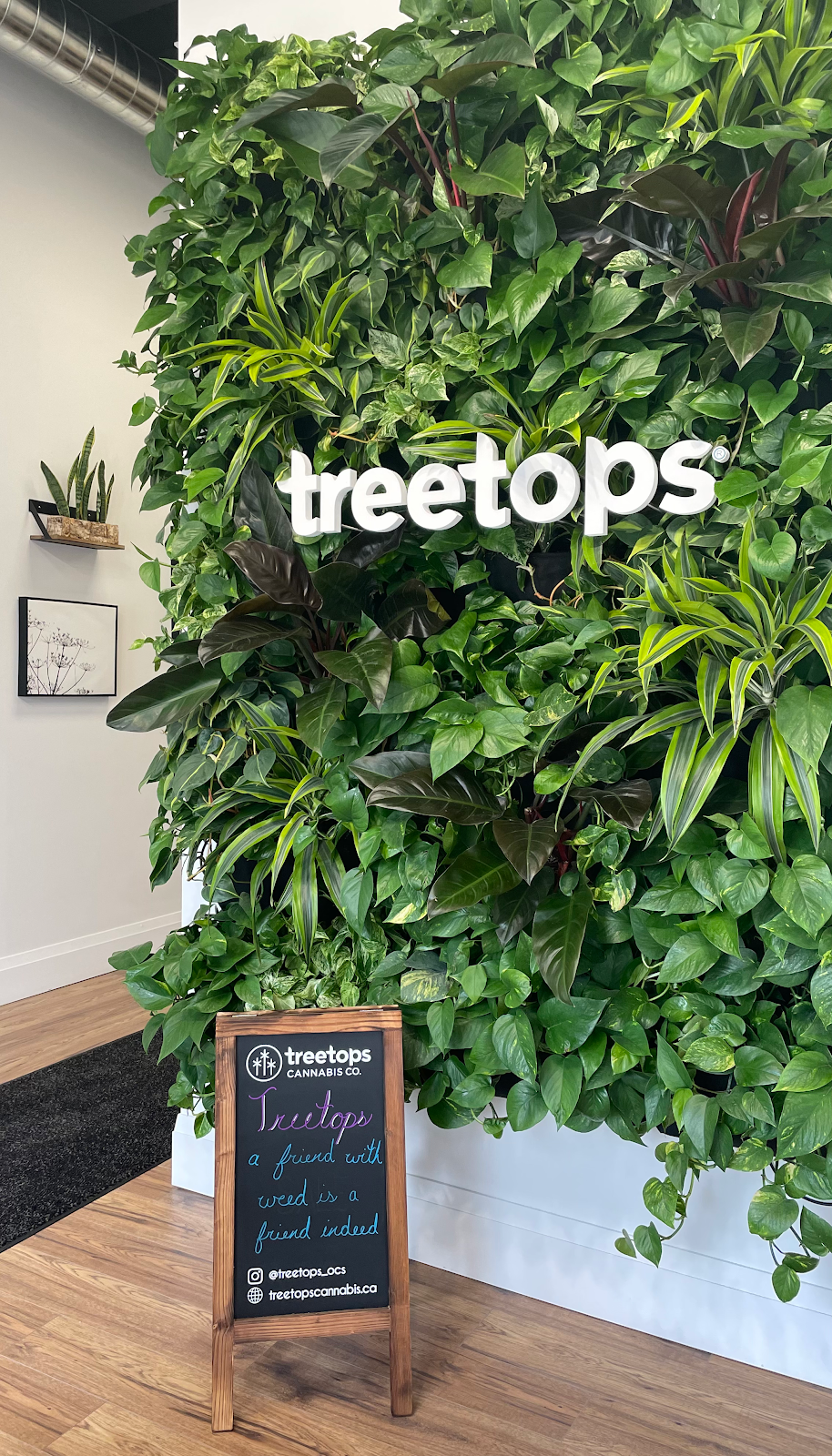 TreeTops Cannabis Co. | 4063 Hamilton Rd, Dorchester, ON N0L 1G2, Canada | Phone: (519) 268-2300