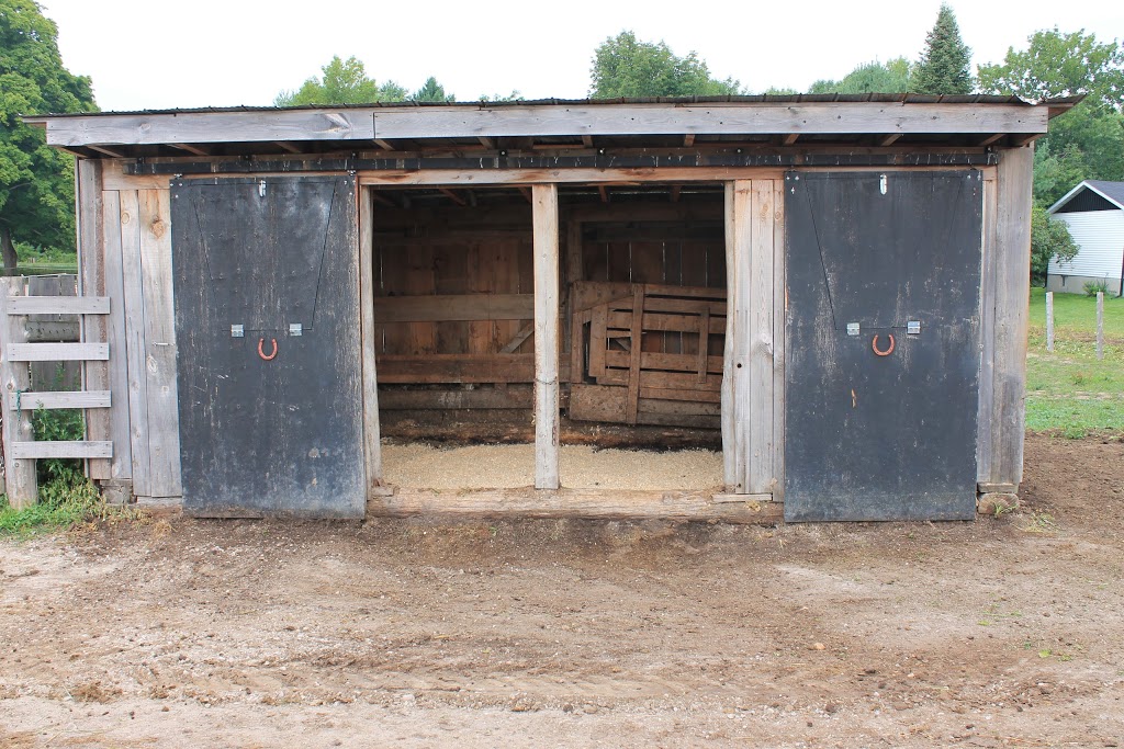 Langman Farms & Equestrian Centre | 2591 Bass Lake Side Rd E, Oro-Medonte, ON L3V 2Z2, Canada | Phone: (705) 345-9689