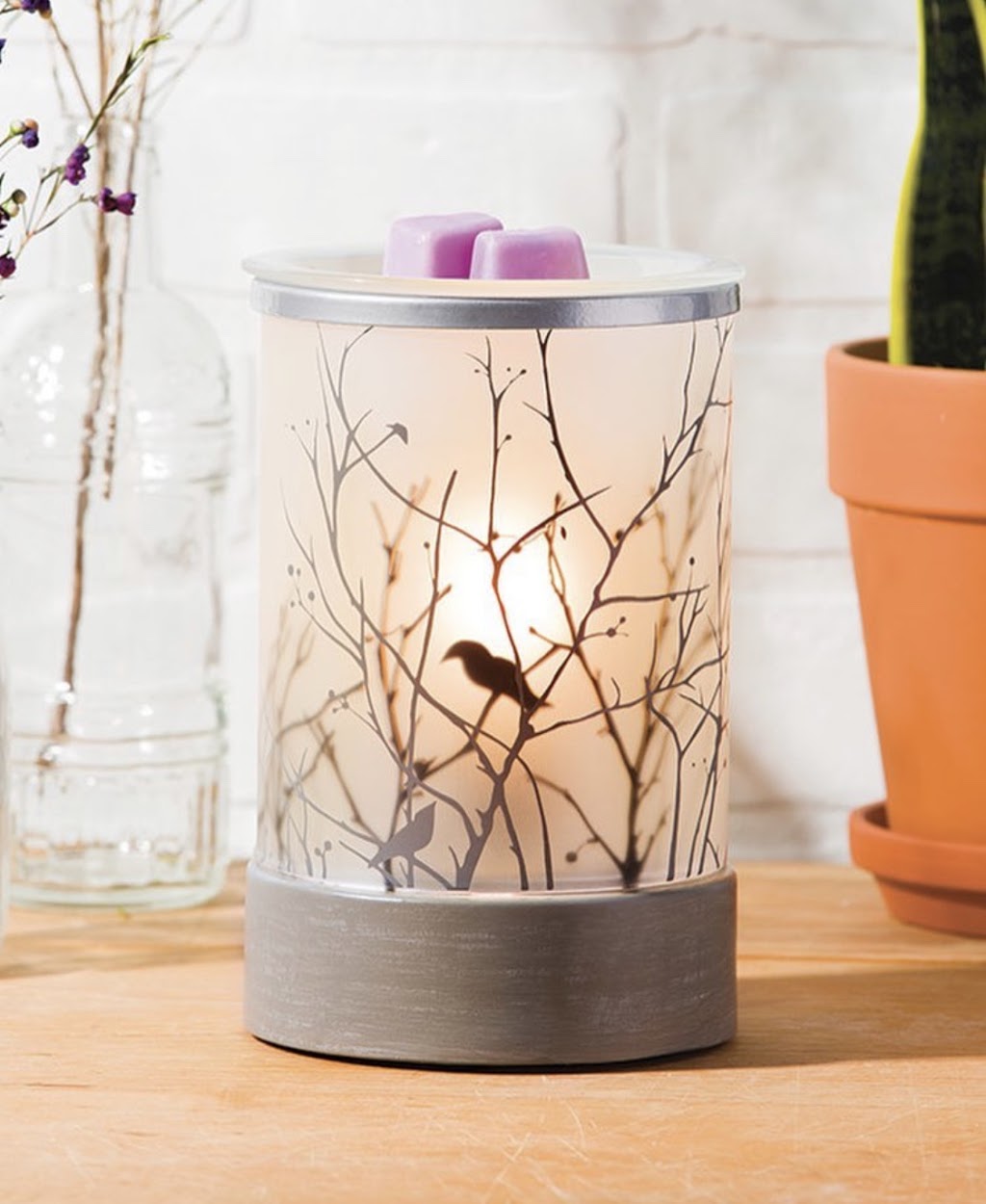 Scentsy Consultant - Nikita Caines | 1, Georgetown, ON L7G 3K2, Canada | Phone: (647) 906-4582