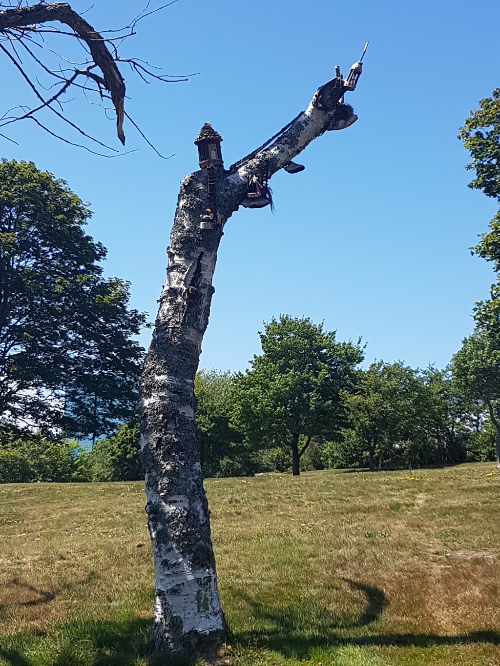 Leighton Dillman Park | 4 Windmill Rd, Dartmouth, NS B3A, Canada