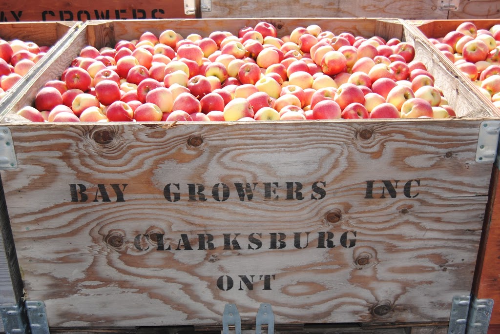 Bay Growers Inc | 828114 Grey Road 40, Clarksburg, ON N0H 1J0, Canada | Phone: (519) 599-7568
