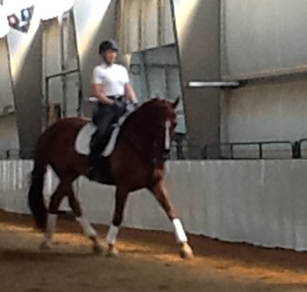 CalgaryDressage.com | 10927 Willowglen Pl SE, Calgary, AB T2J 1R8, Canada | Phone: (403) 968-5455