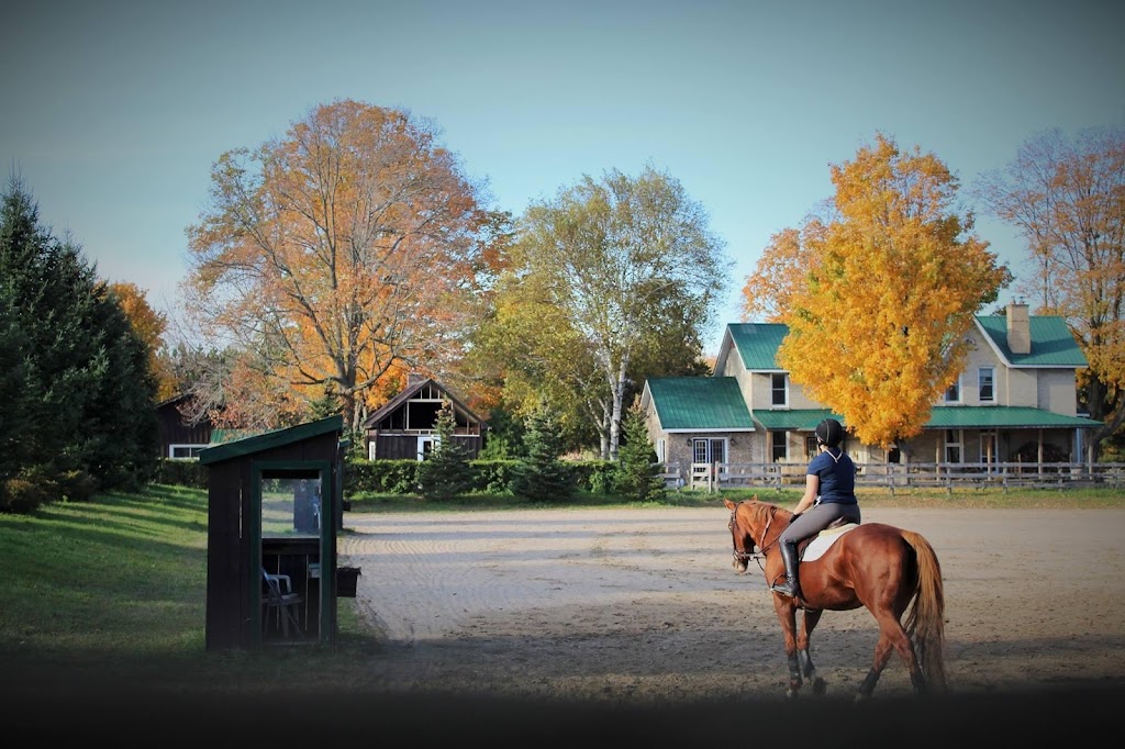 Valiant Equestrian | travel agency | 1864 Greenfield Rd, Cambridge, ON N1R 5S5, Canada | 7057961995 OR +1 705-796-1995