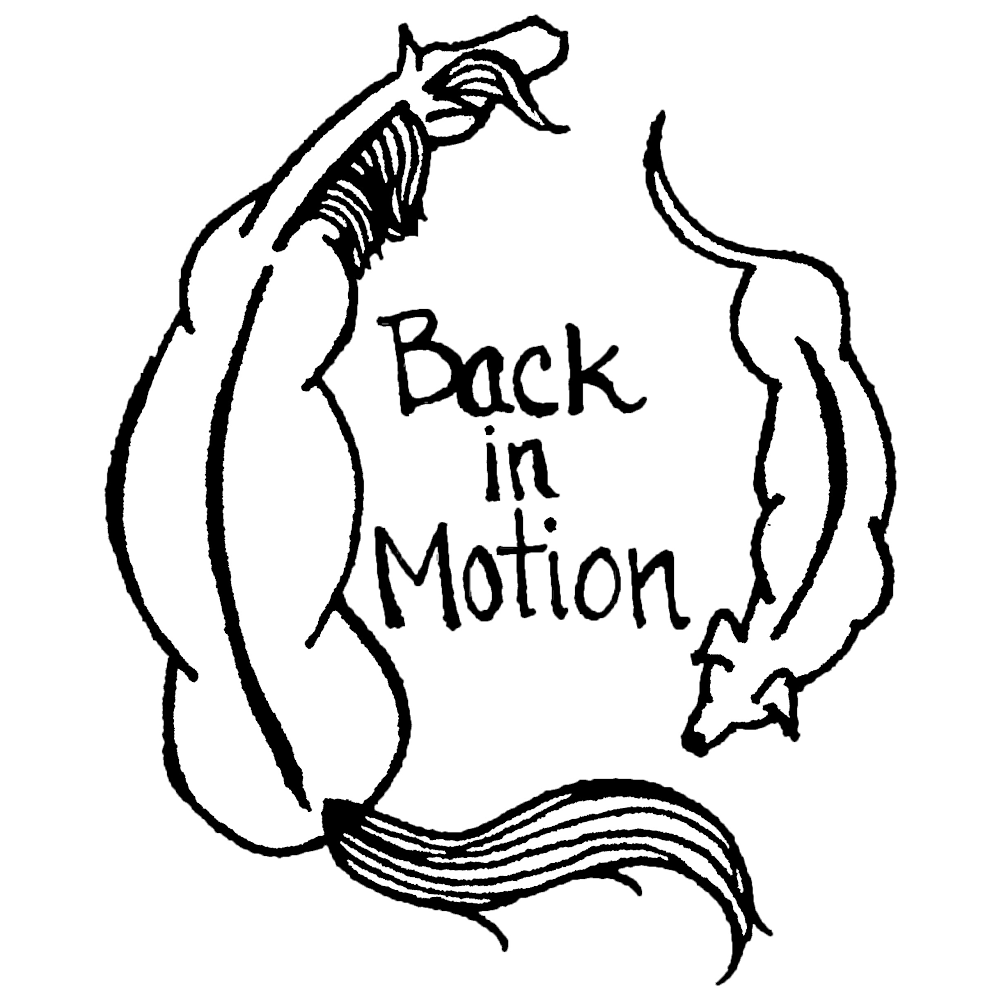 Back In Motion LLC | 6071 Bunting Rd, Orchard Park, NY 14127, USA | Phone: (716) 253-2408