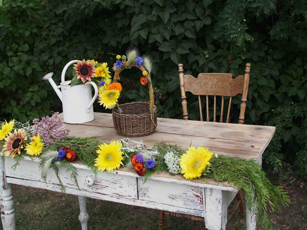 Open Farm | 7000 College Way, Coldstream, BC V1B 2S4, Canada | Phone: (250) 938-9031