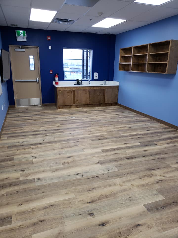 Diamond Shine Cleaning Services | Greenough Landing NW, Edmonton, AB T5T 7C8, Canada | Phone: (780) 860-0677