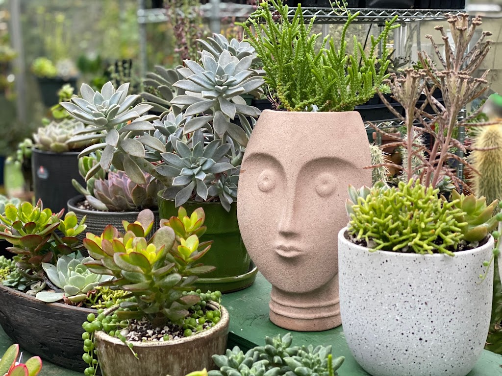 The Planted Farm | Succulents Victoria | 1340 Wain Rd, North Saanich, BC V8L 5V1, Canada | Phone: (250) 893-3547