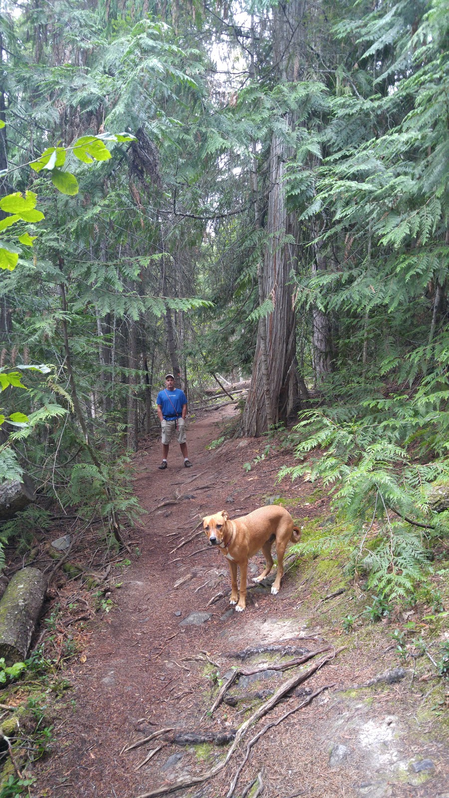 Angel Springs Trailhead | Kelowna, BC V0H 1N0, Canada