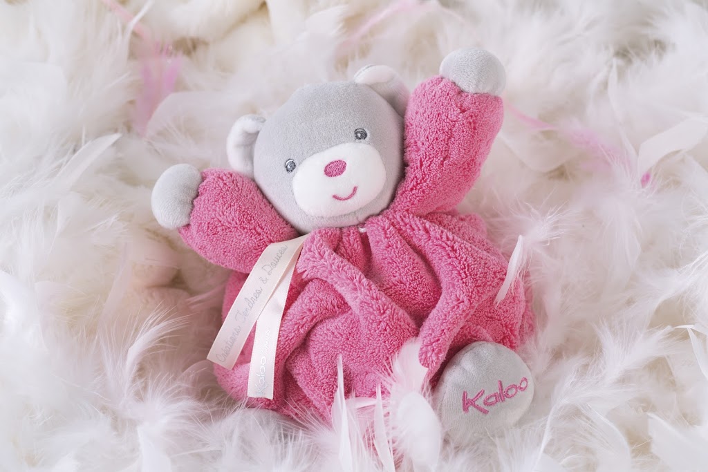Q House Kids | 21100 Rue Daoust, Sainte-Anne-de-Bellevue, QC H9X 4C7, Canada | Phone: (514) 457-3088