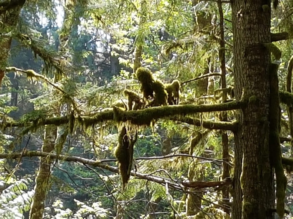 Burnett Falls Park | 5332 Burnett Rd, Sechelt, BC V0N 3A4, Canada