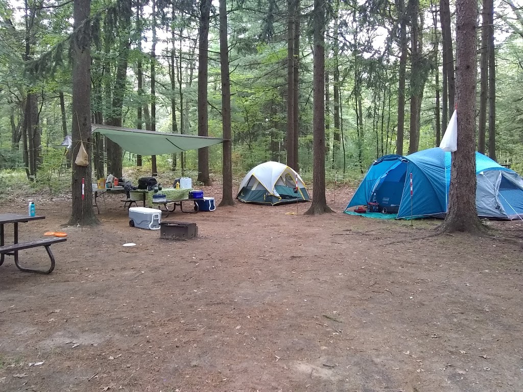Turkey Point Provincial Park | 194 Turkey Point Rd, Turkey Point, ON N0E 1T0, Canada | Phone: (519) 426-3239