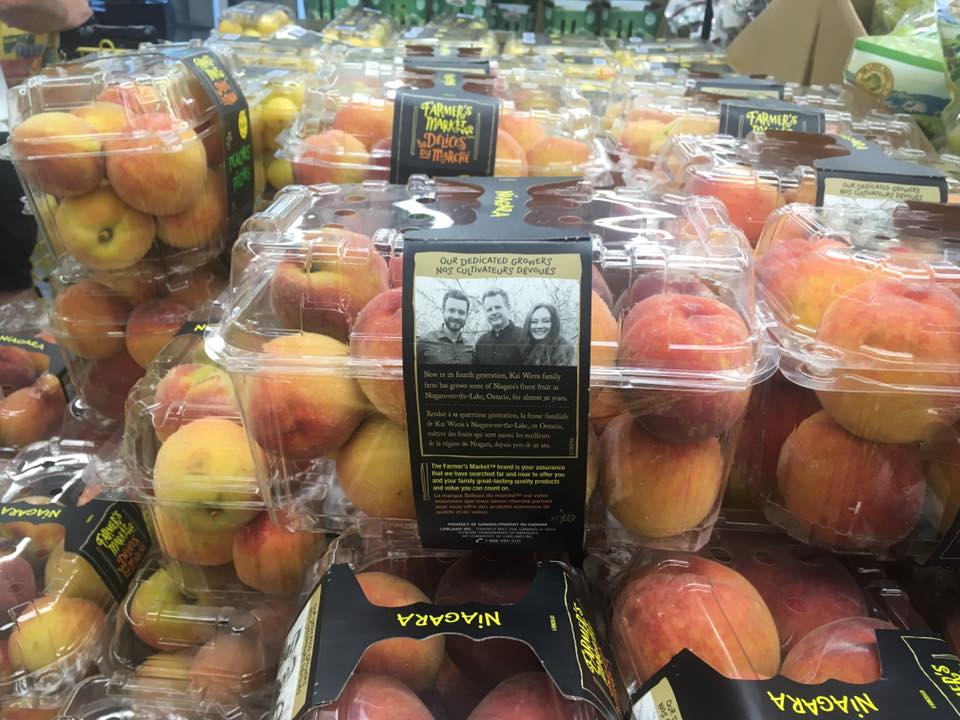 Kai Wiens Family Farm | 921 Concession 2 Rd, Queenston, ON L0S 1L0, Canada | Phone: (905) 658-2330
