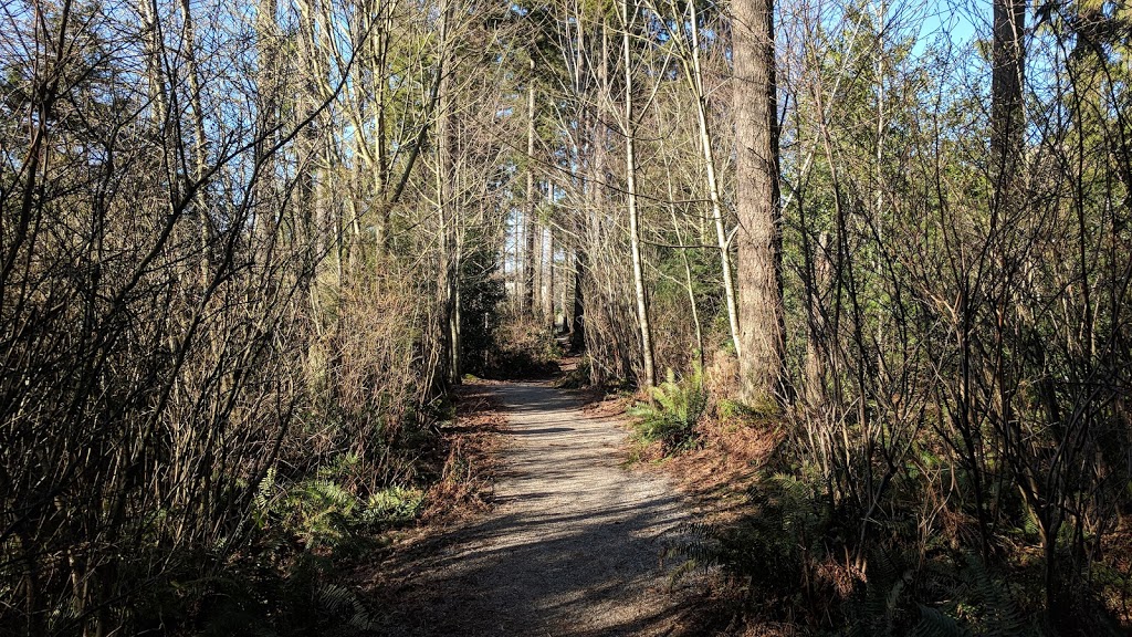 Springwood Forest Park | 5844 150 St, Surrey, BC V3S 5N5, Canada