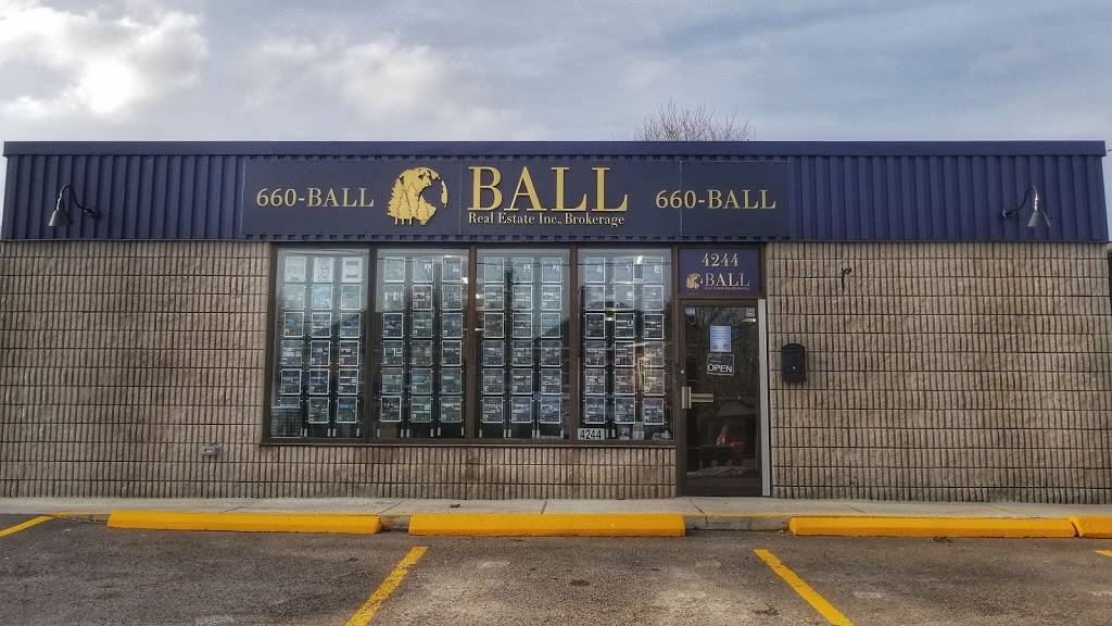 Michael Pettler - BALL Real Estate Inc. - Norwood | 4244 Hwy 7, Norwood, ON K0L 2V0, Canada | Phone: (613) 902-0066