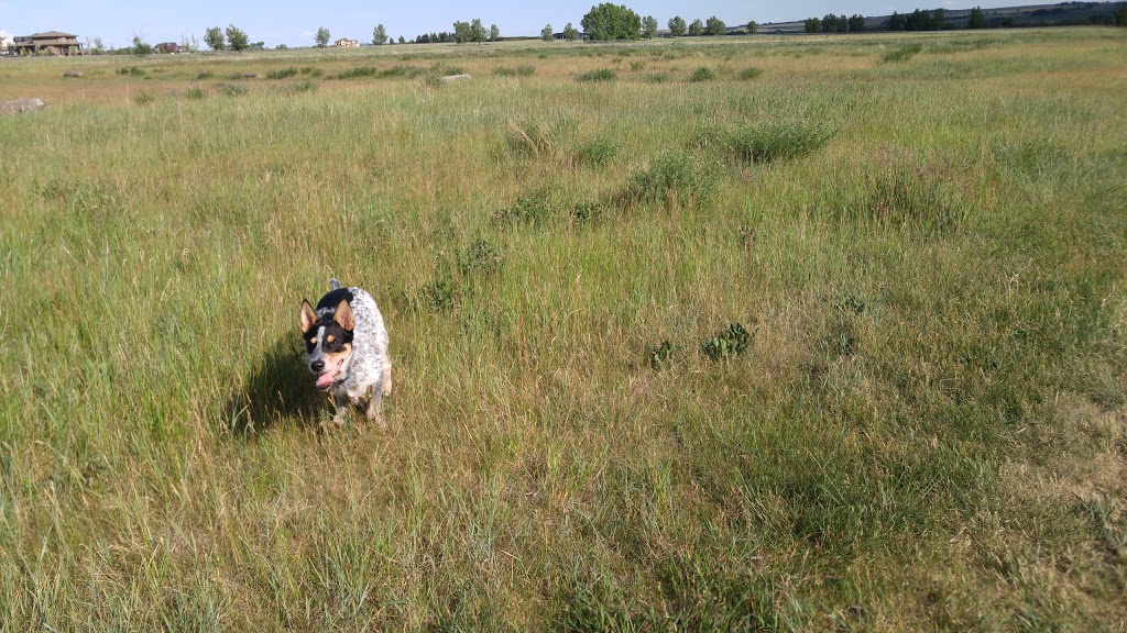 Off Leash Park | 132 Drake Landing Ridge, Okotoks, AB T1S 0H1, Canada | Phone: (403) 938-4404