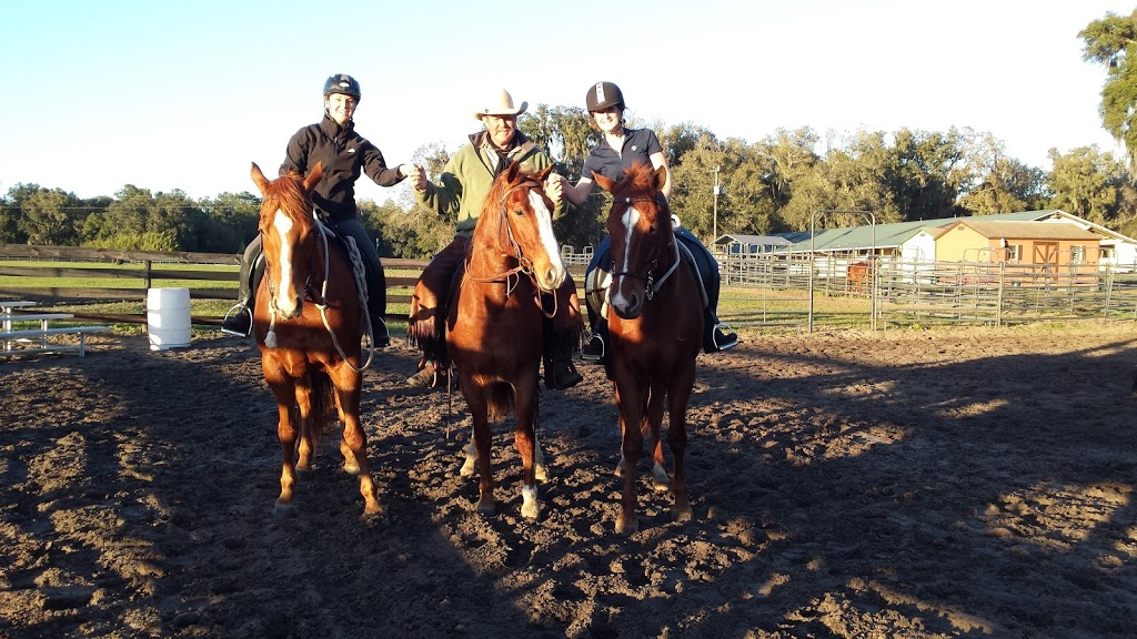 Black Bay Horse Farm | 250 Chemin de la Baie, Luskville, QC J0X 2G0, Canada | Phone: (819) 665-3614