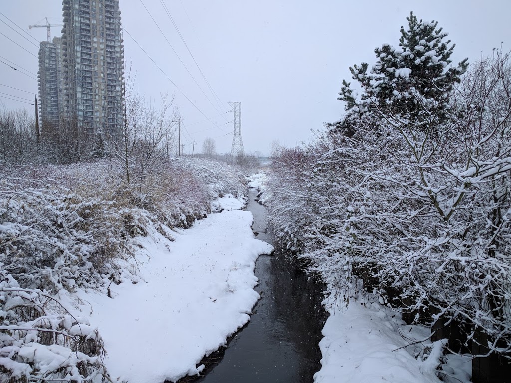 Still Creek | Still Creek trail, Burnaby, BC V5C 6C6, Canada