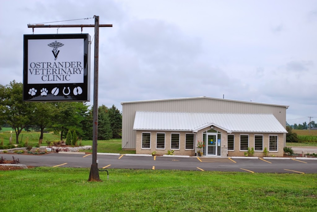 Ostrander Veterinary Clinic | 332810 Plank Line, Mount Elgin, ON N0J 1N0, Canada | Phone: (519) 842-7845