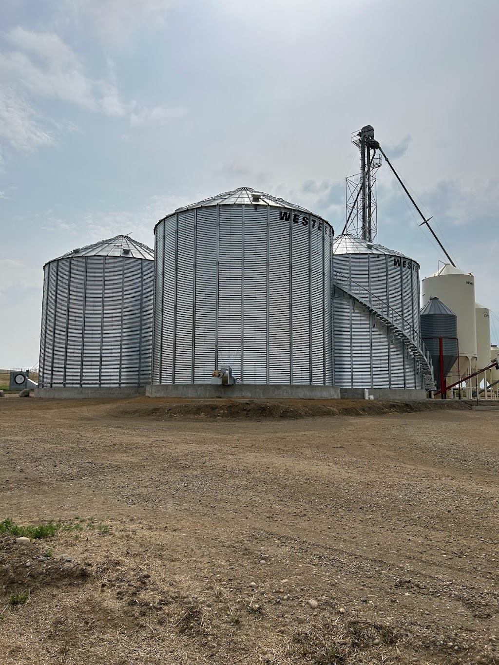 Montbello Plus LTD | Hays Rd F North, Hays, AB T0K 1B0, Canada | Phone: (306) 604-9367