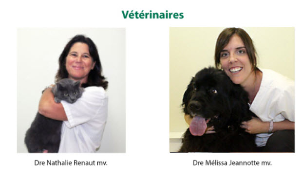 Hôpital Vétérinaire Rive Nord | 583 Rue Notre-Dame, Repentigny, QC J6A 2V1, Canada | Phone: (450) 582-3796