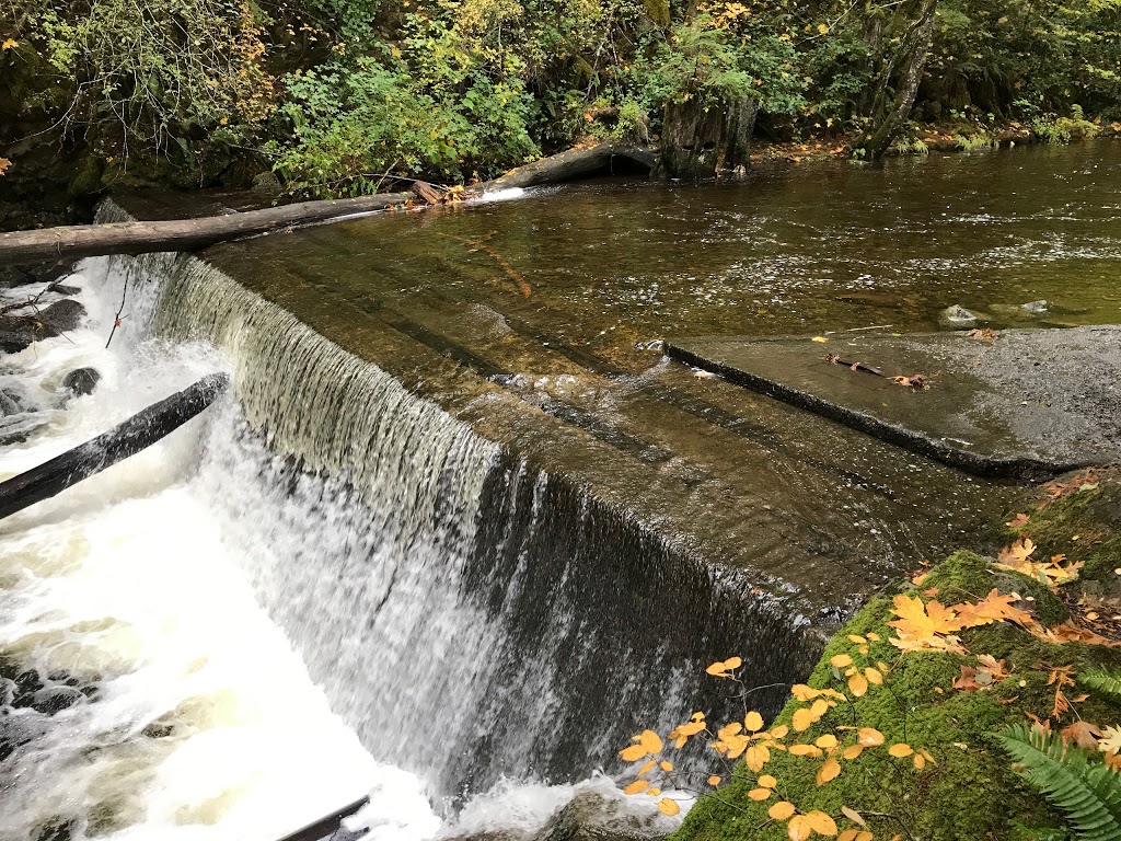Holland Creek Trail Head | 374 Dogwood Dr, Ladysmith, BC V9G 1T5, Canada