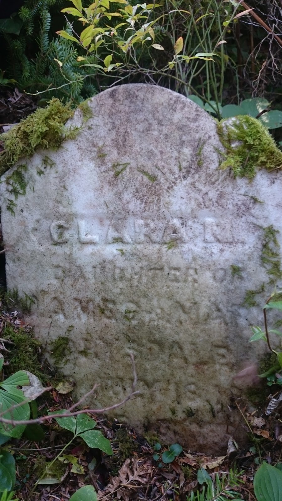 Greenhead Road Cemetery | Otter Lake, NS B3T 1P6, Canada