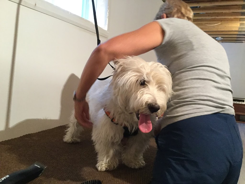 Tonte Passion Westie petit chien Westie | 9924 Rue de la Camomille, Québec, QC G2B 0P5, Canada | Phone: (581) 982-3615