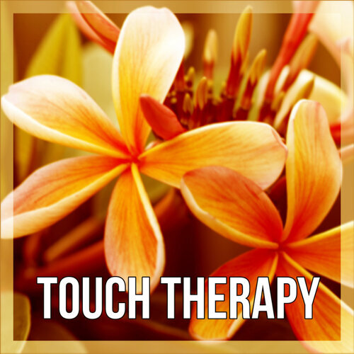 Halifax Touch | 1141 St Margarets Bay Rd, Beechville, NS B3T 1A7, Canada | Phone: (902) 877-2218