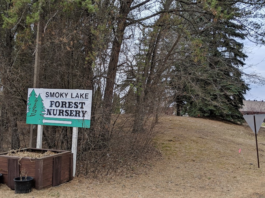 Smoky Lake Forest Nursery Ltd | point of interest | 59162 Range Rd 155A, Smoky Lake, AB T0A 3C0, Canada | 7806564130 OR +1 780-656-4130