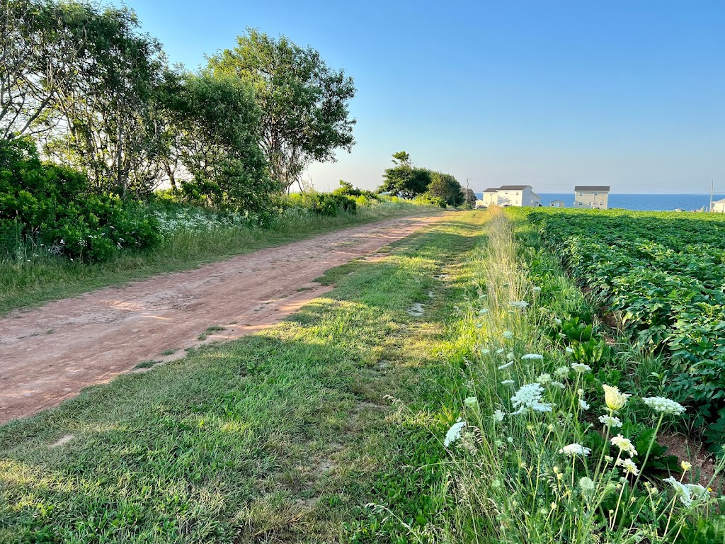 Oceantide PEI Cottages | 89 Ocean Tide Ln, Bonshaw, PE C0A 1C0, Canada | Phone: (902) 629-5090
