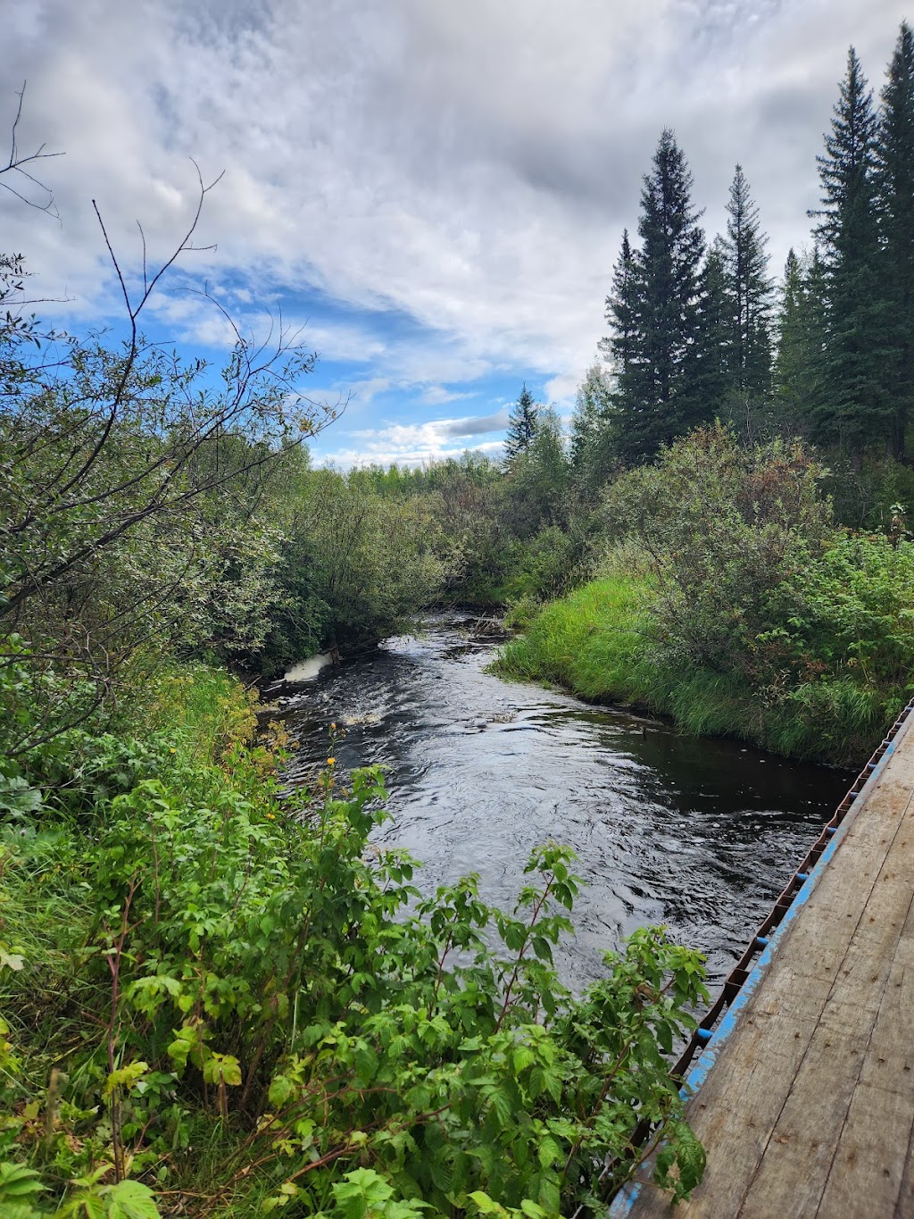 Bear Creek Campground | 50012 Range Rd 91, Drayton Valley, AB T7A 2A3, Canada | Phone: (780) 898-6856