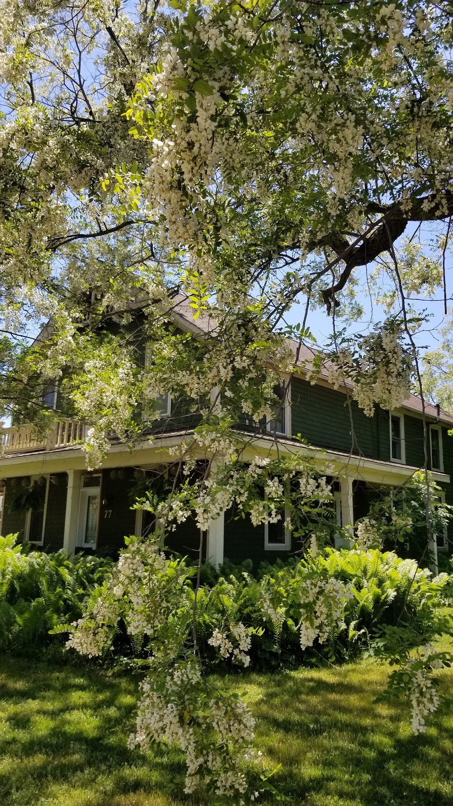 The Carter House | Kagawong, ON P0P 1J0, Canada | Phone: (705) 207-7667