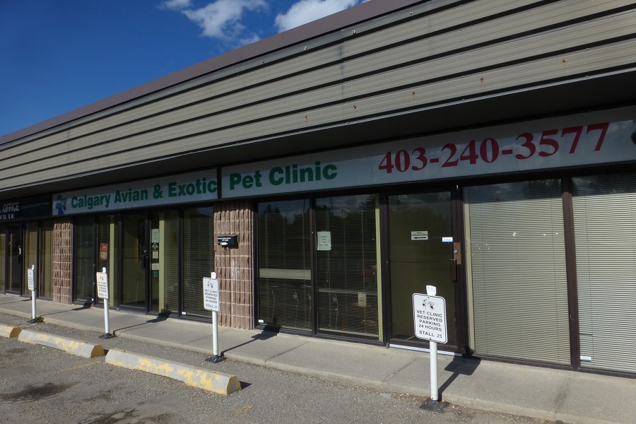 Calgary Avian & Exotic Pet Clinic | 2308 24 St SW #1, Calgary, AB T2T 5H8, Canada | Phone: (403) 240-3577