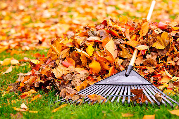 Landscaping Lindsay Property Services | 263 Victoria Ave N, Lindsay, ON K9V 6B8, Canada | Phone: (705) 934-5263