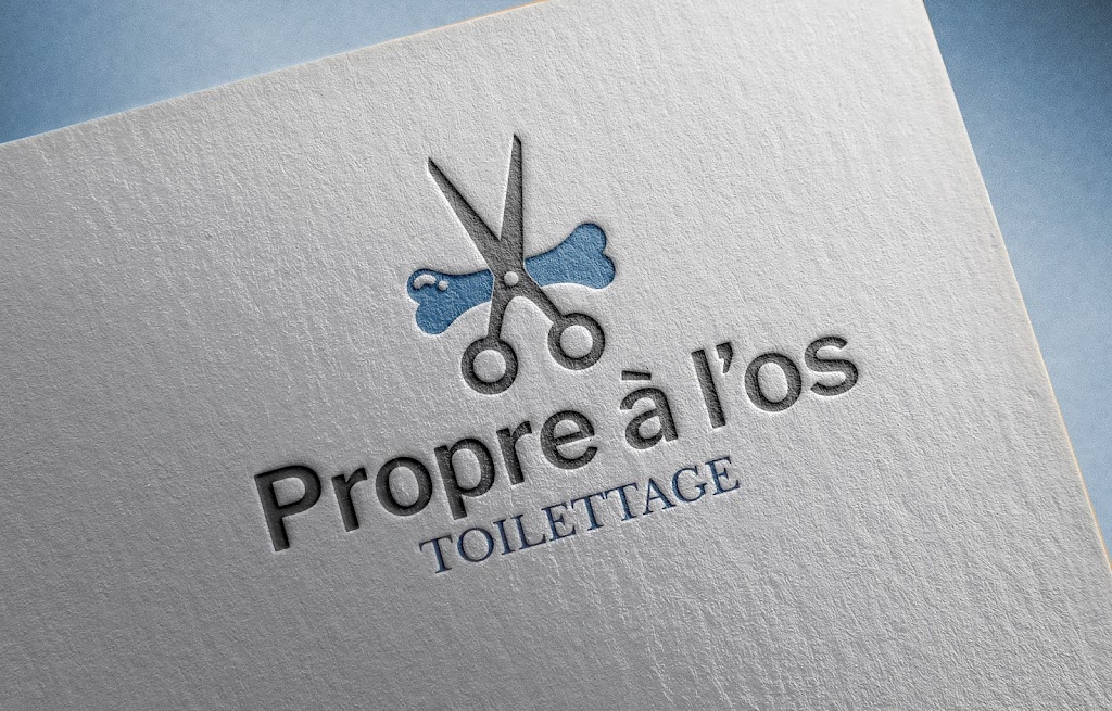 Toilettage Propre à los | 71 1ere, Chem. du Lac Berthier, Saint-Gabriel-de-Brandon, QC J0K 2N0, Canada | Phone: (450) 421-4247