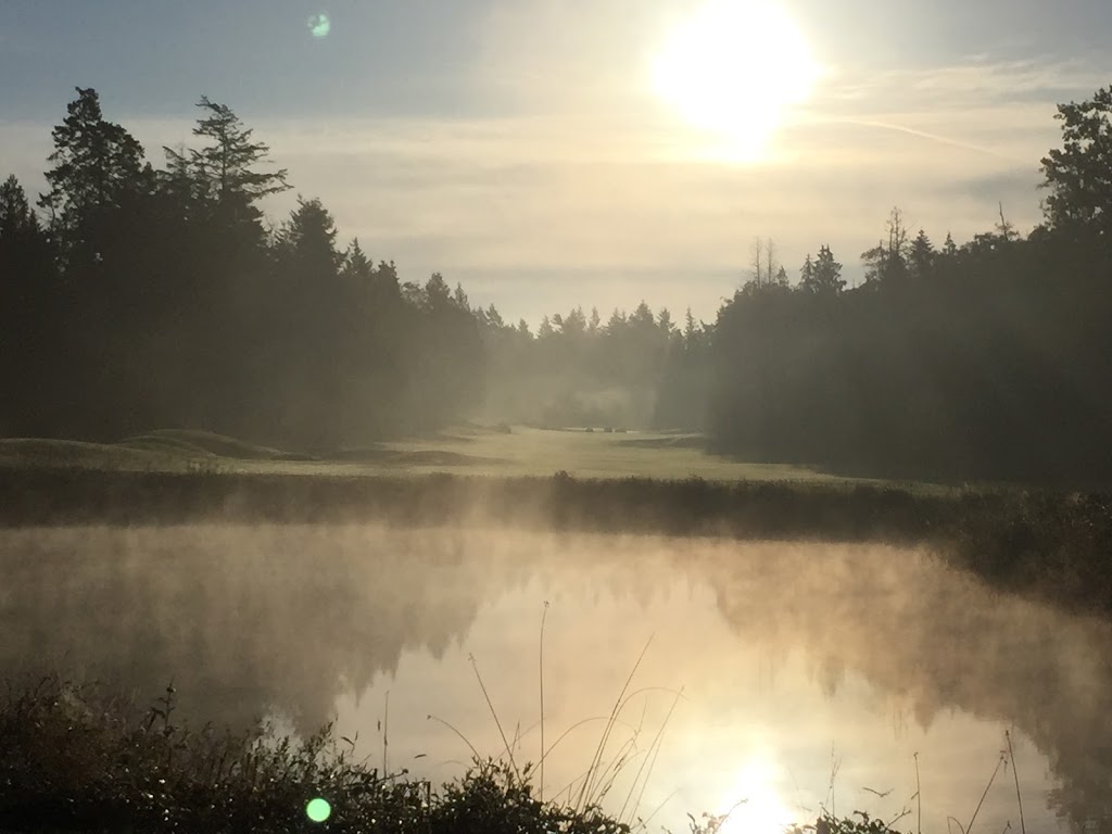 Bald Eagle Golf Club at Point Roberts | 1350 Pelican Pl, Point Roberts, WA 98281, USA | Phone: (866) 460-0368