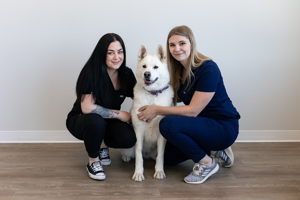 WestVets Animal Hospital | 876 Heritage Blvd W Unit 150, Lethbridge, AB T1K 8G1, Canada | Phone: (587) 425-6733