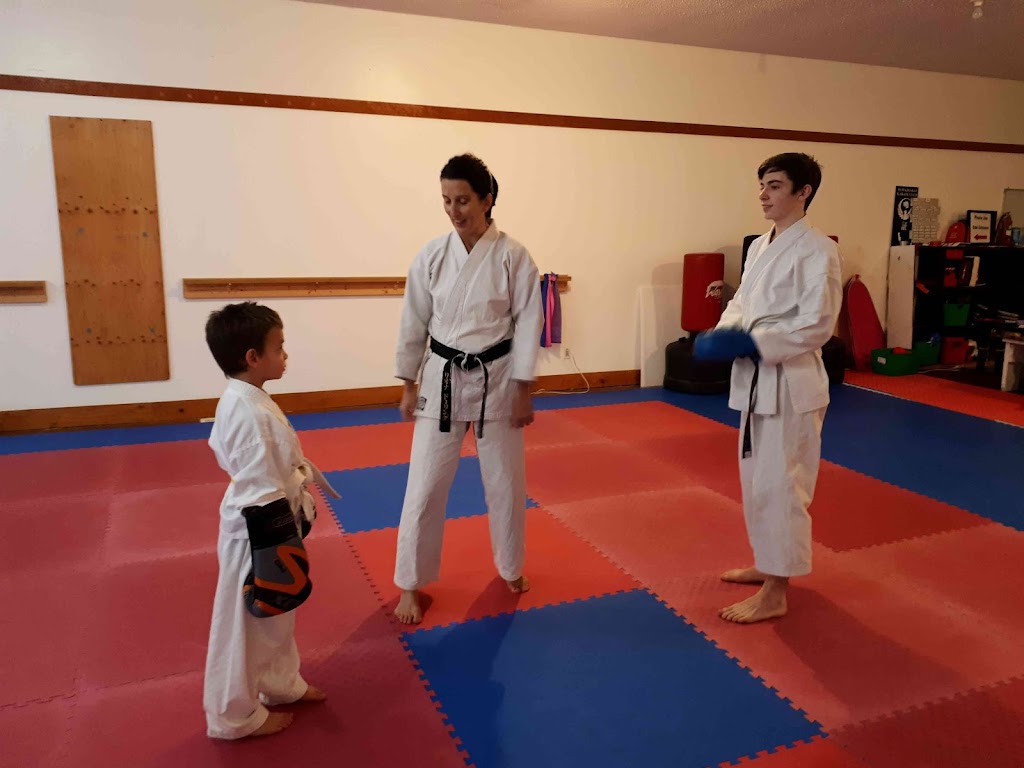 Port Alberni Wado Kai Karate | 4090 Hollywood St, Port Alberni, BC V9Y 4B3, Canada | Phone: (250) 735-9394