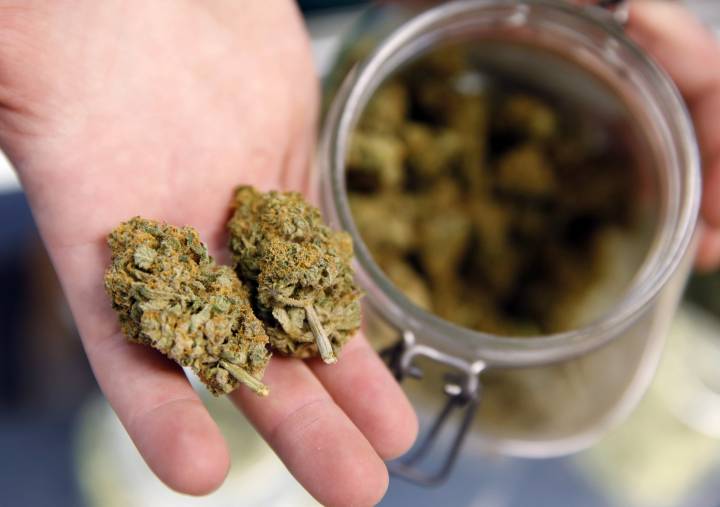 Weed Delivery Abbotsford - Phone Only | 2655 Clearbrook Rd #93, Abbotsford, BC V2T 2Y6, Canada | Phone: (236) 878-6043