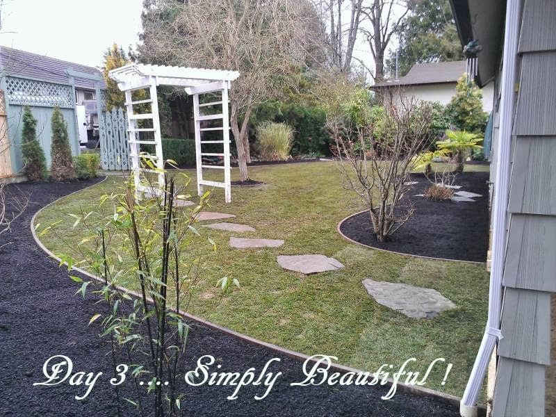 Orca Tree & Lawn Care Ltd. | 3-484 Mill Rd, Qualicum Beach, BC V9K 1J6, Canada | Phone: (250) 607-7355